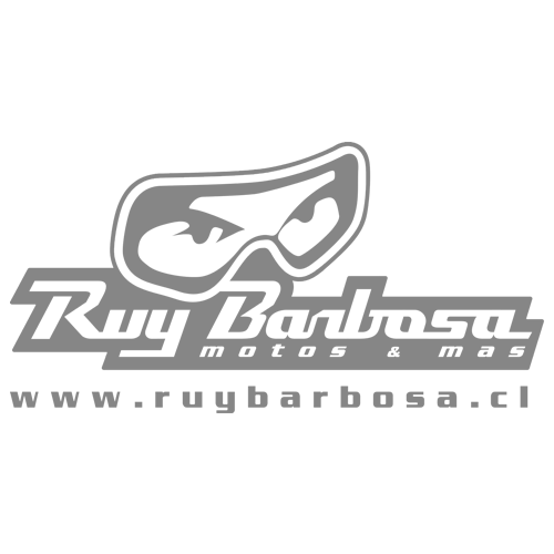 logo-ruybarbosa